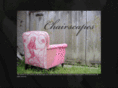 chairscapes.com
