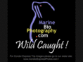 marinebiophotography.com