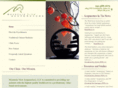 mountainviewacupuncture.com