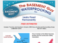 thebasementguy.com