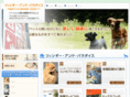 tsingy-paradise.com