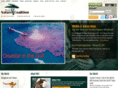 wildlifeceo.com
