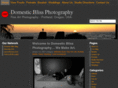 domesticblissphotography.com