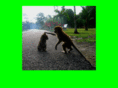 monosygatos.com
