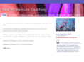 newmomentumcoaching.com