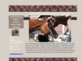 sandhilllperformancehorses.com