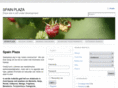 spainplaza.org