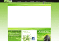adswerve.net