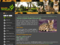 boulderbengals.com