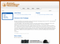 minnichinfotech.com
