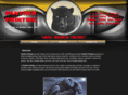 pantherprinting.com