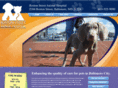 bostonstreetvet.com