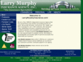 larrymurphyinsurance.com