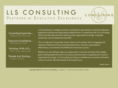 llsconsulting.net