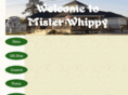 misterwhippy.com