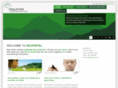 neurintel.com