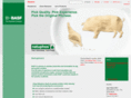phytase.com