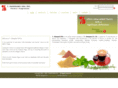 thasegawa.com