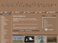 fstopafrica.com