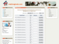 mabinogiweb.com