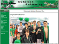 mcintoshswimming.com