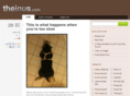 theinus.com