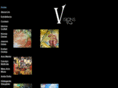 visions10.com