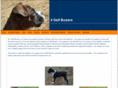 4selfboxers.com