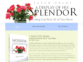 adisplayofhissplendorbook.com