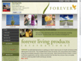 buyflp.com