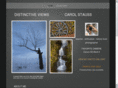 distinctiveviews.net
