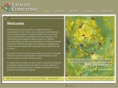 catalyst-consultants.com