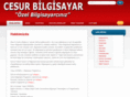 cesurbilgisayar.com