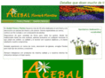 acebalfloresyplantas.com