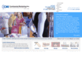 cmidisplay.com