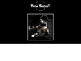 davideleouet.com