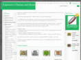 expressivecharmsandbeads.com
