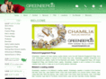 greenbergsjewelers.com