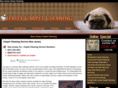 jersey-carpetcleaning.com