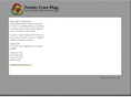 trinitycoreplug.com