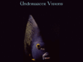 underwatervision.com