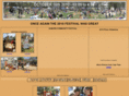 auburncommunityfestival.com