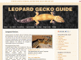 leopardgeckoguide.com