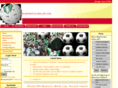 nigerianfootballer.com