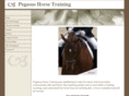 pegasushorsetraining.com