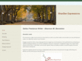 shanden.com