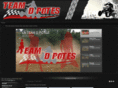 teamdpotes.com