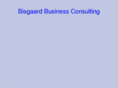 bisgaard.net