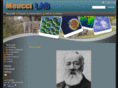 meuccilab.org