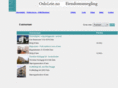 osloleie.com